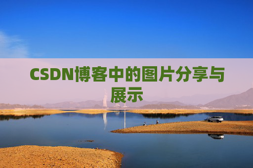 CSDN博客中的图片分享与展示